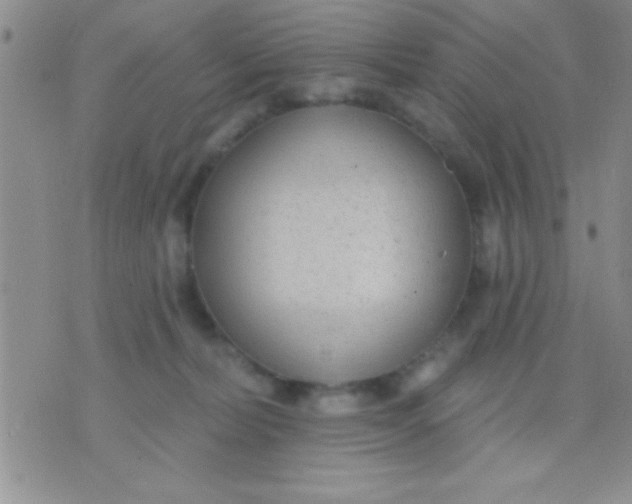 X0000071960228200607282041