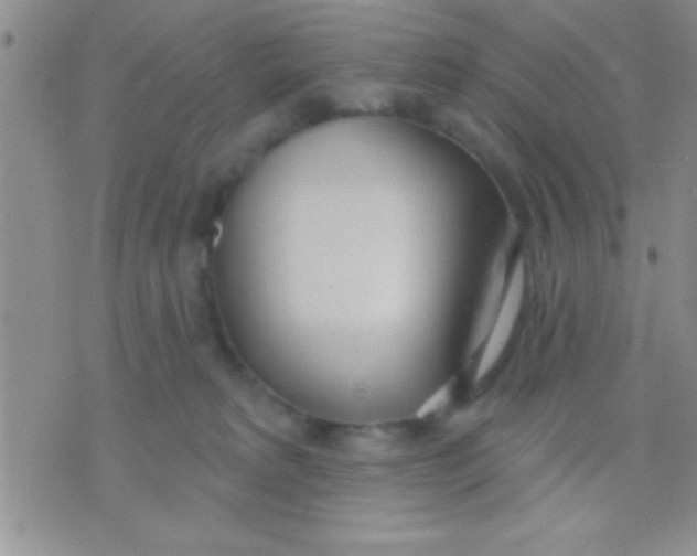 X0000071960229200607282041