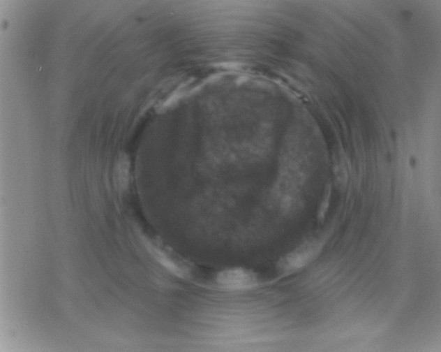 X0000071960231200607282041