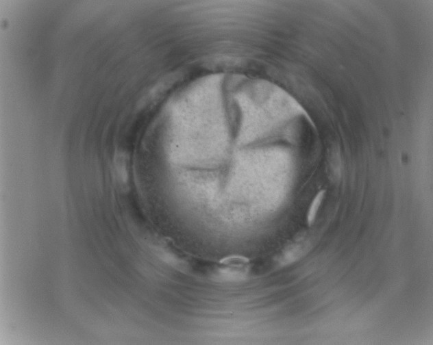 X0000071960232200607282041