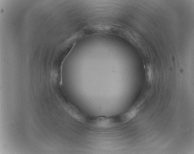 X0000071960235200607282041