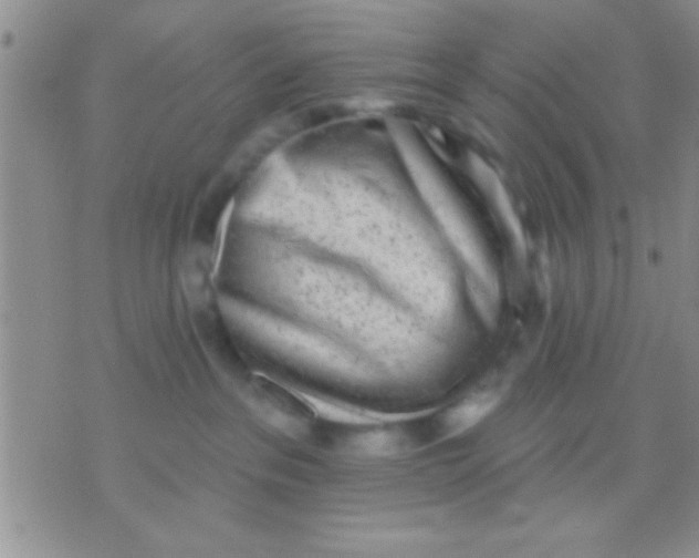 X0000071960237200607282041