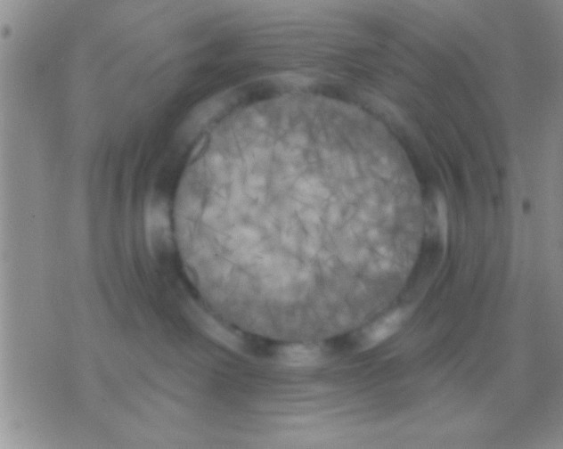 X0000071960238200607282041