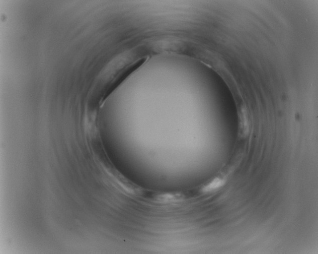 X0000071960239200607282041