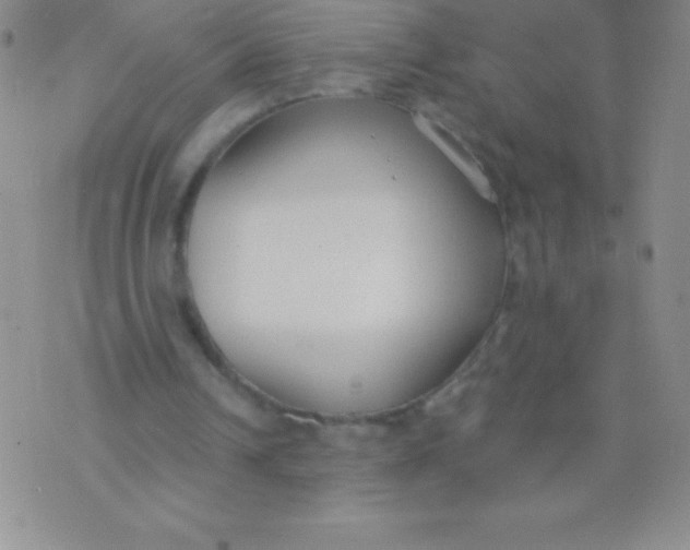 X0000071960242200607282040