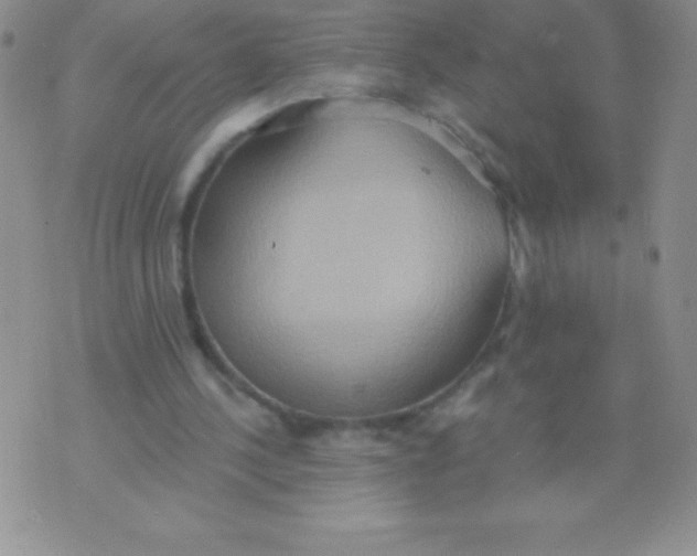 X0000071960244200607282040