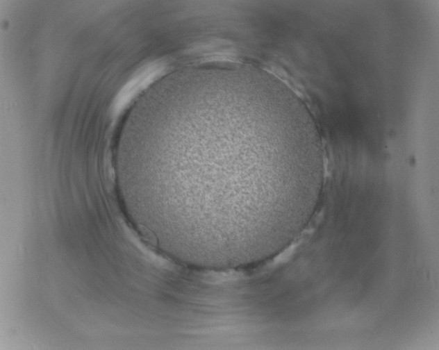 X0000071960245200607282040