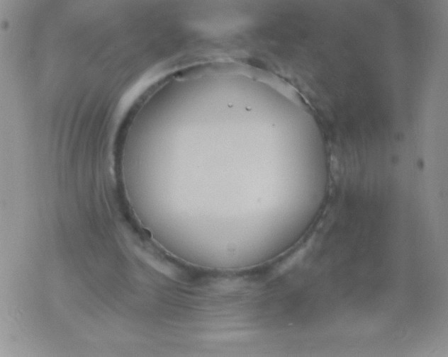 X0000071960246200607282040