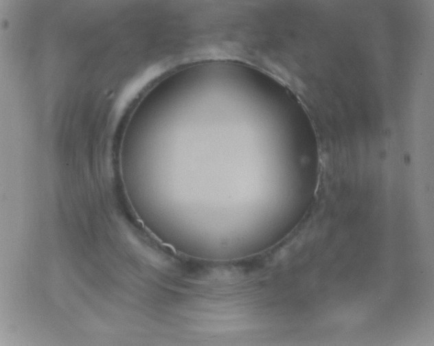 X0000071960248200607282040