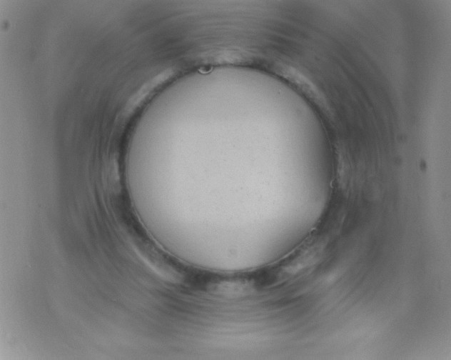 X0000071960251200607282040