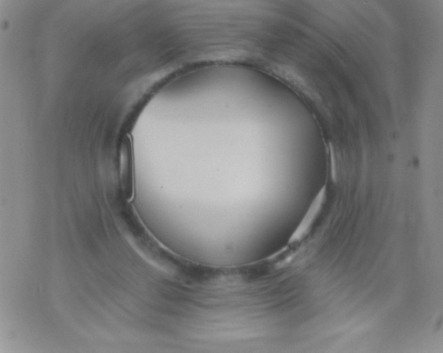 X0000071960252200607282040