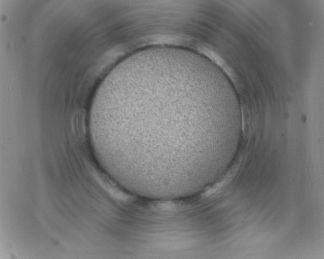 X0000071960253200607282040