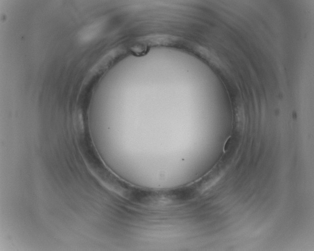 X0000071960254200607282040