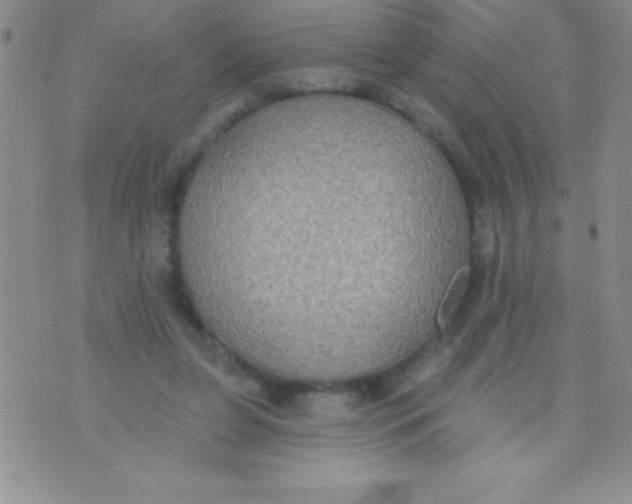 X0000071960255200607282040