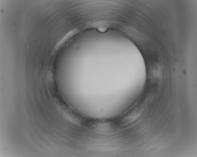 X0000071960256200607282040