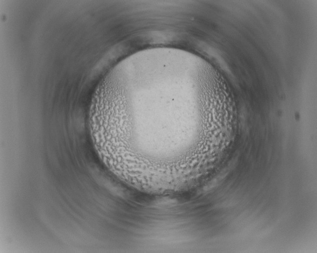 X0000071960257200607282040