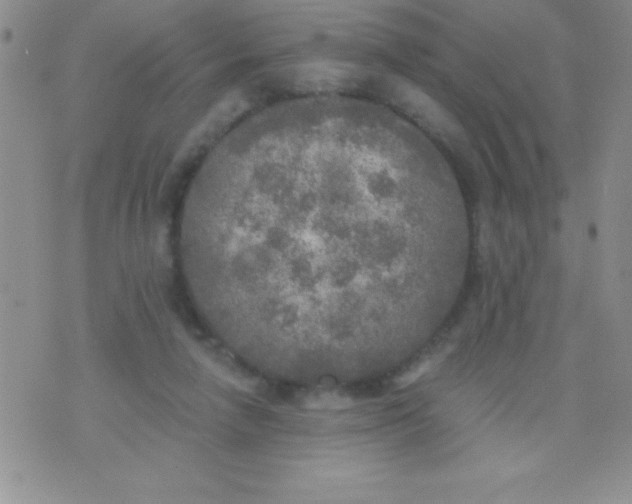 X0000071960258200607282040