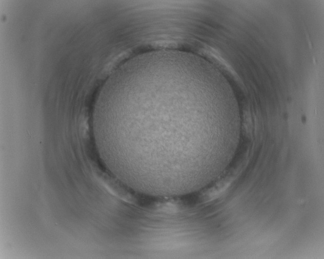 X0000071960259200607282040