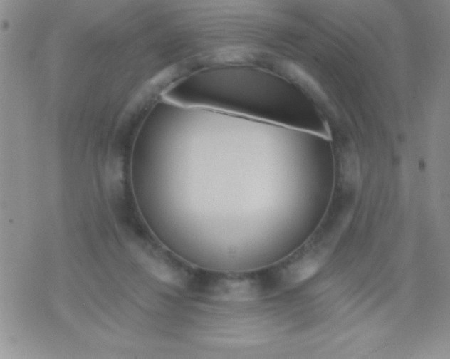 X0000071960260200607282040