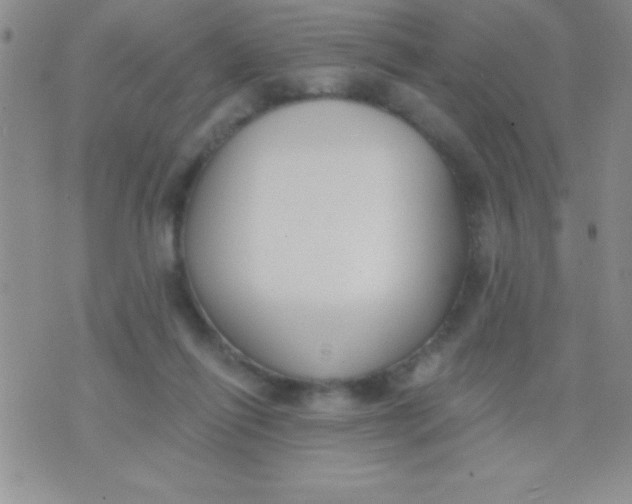 X0000071960262200607282040