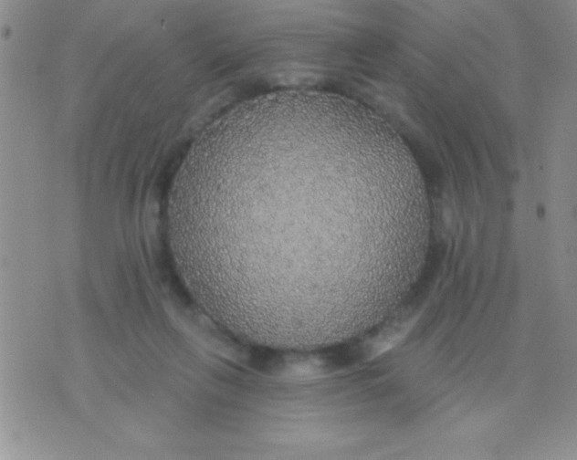 X0000071960263200607282040