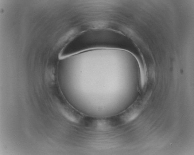 X0000071960264200607282040