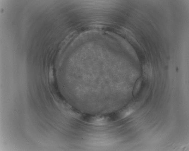 X0000071960267200607282040