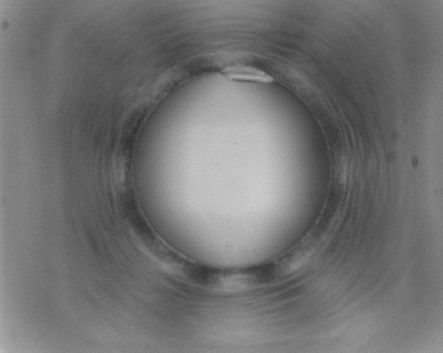 X0000071960268200607282040