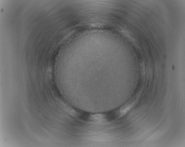 X0000071960269200607282040