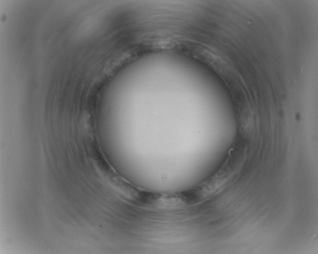 X0000071960270200607282040