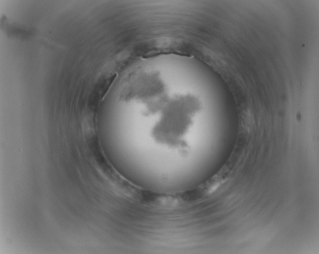 X0000071960272200607282041