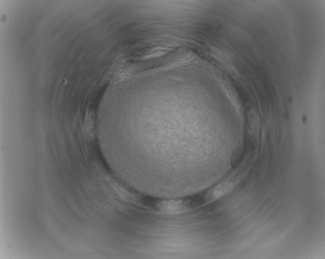 X0000071960273200607282041