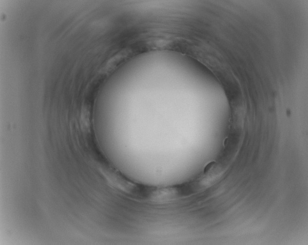 X0000071960274200607282041