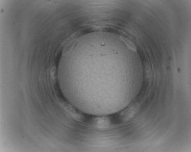 X0000071960275200607282041