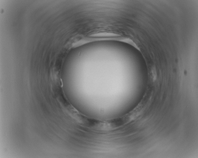 X0000071960276200607282041