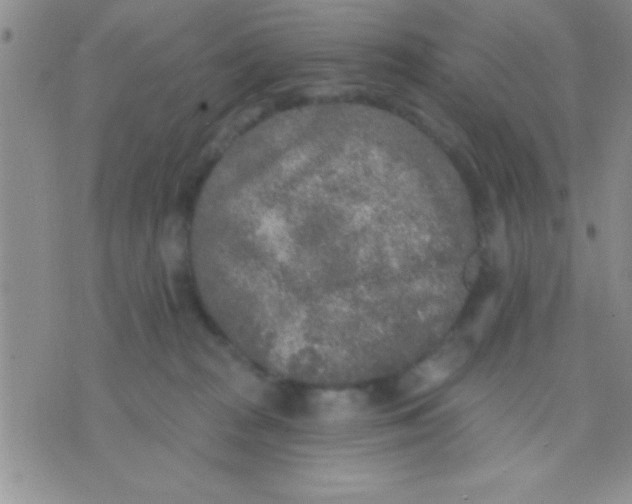 X0000071960277200607282041