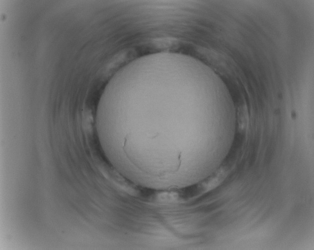 X0000071960279200607282041