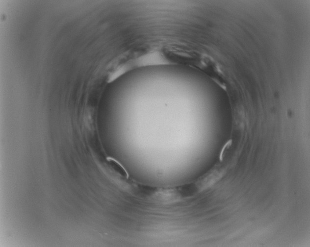 X0000071960280200607282041