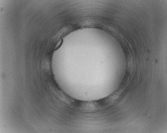 X0000071960282200607282041