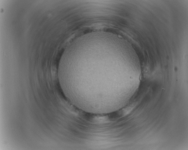 X0000071960283200607282041