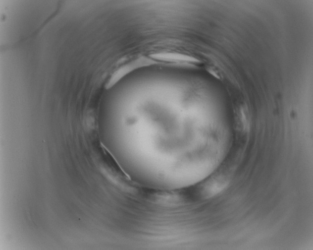 X0000071960284200607282041