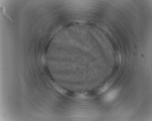 X0000071960285200607282041