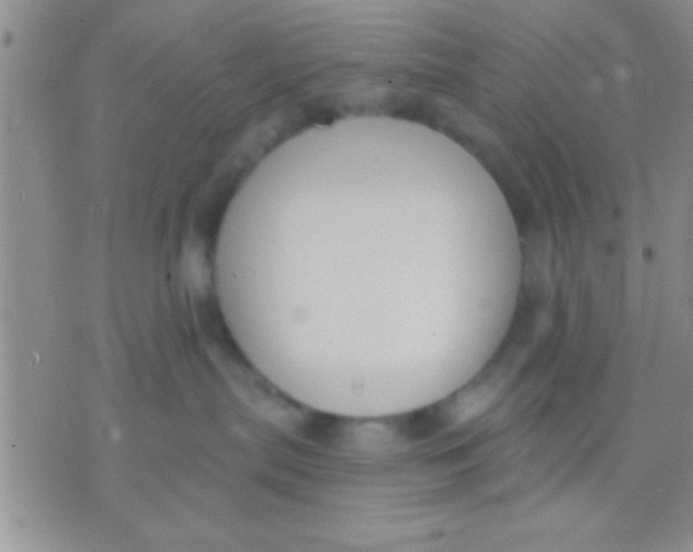 X0000071960287200607282041