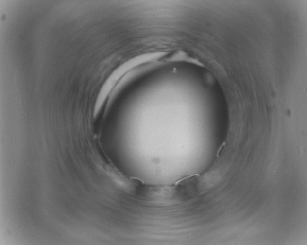 X0000071960288200607282041