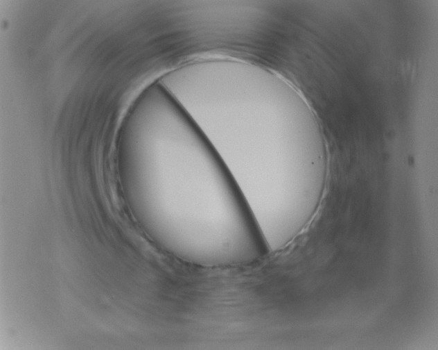 X0000071960289200607282040