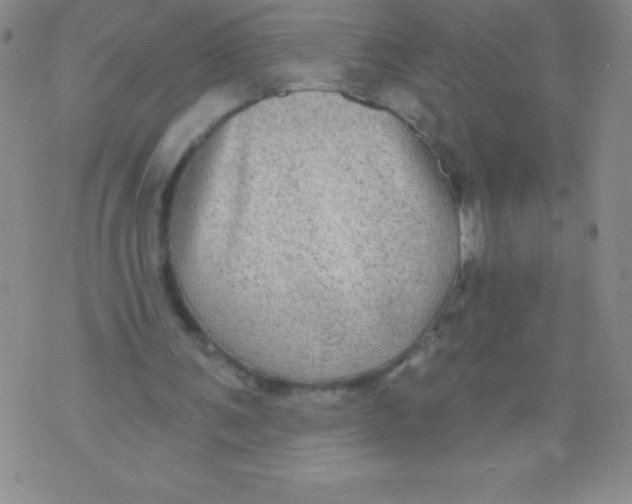 X0000071960291200607282040