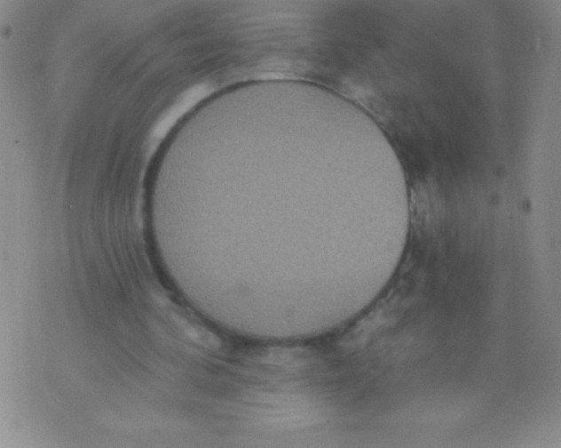 X0000071960292200607282040