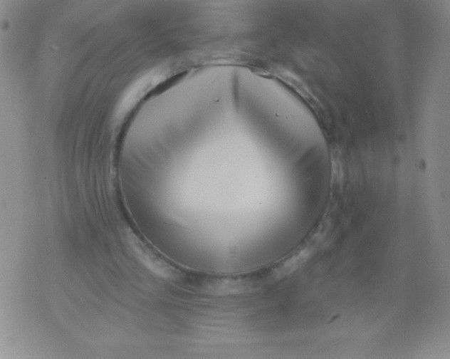 X0000071960293200607282040