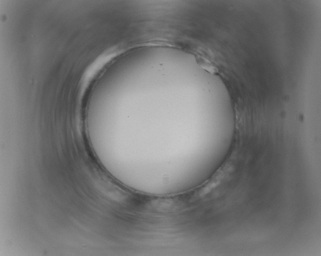 X0000071960294200607282040