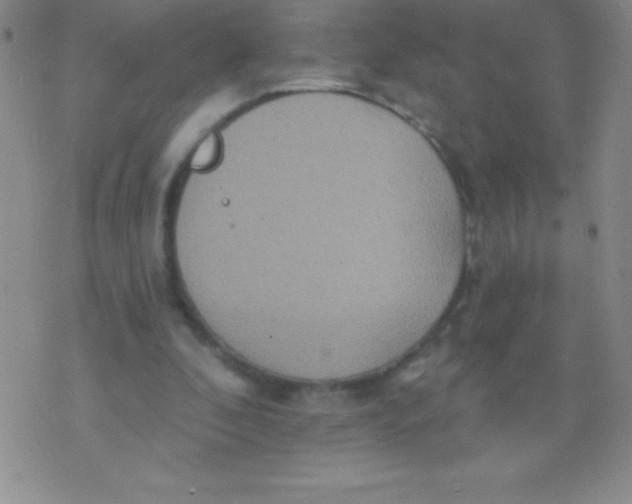 X0000071960296200607282040